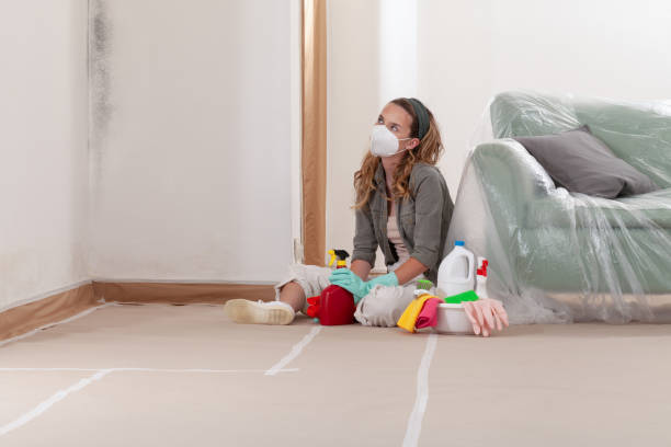 Reliable Mold Testing contractor in Hudsonville, MI by WQB Mold Removal